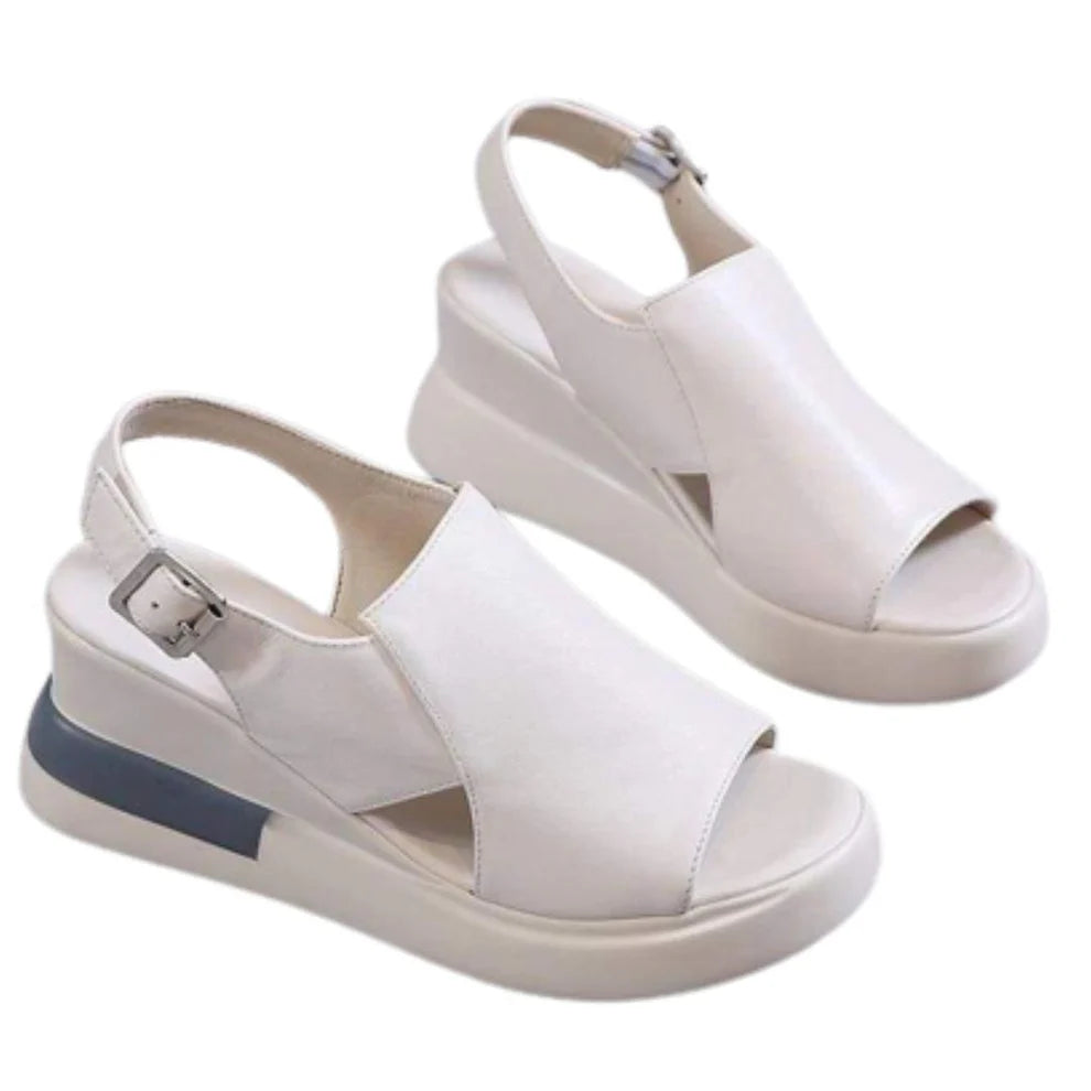 OrtoFlex™ - ✨NUEVAS SANDALIAS +ENVIO GRATIS✨