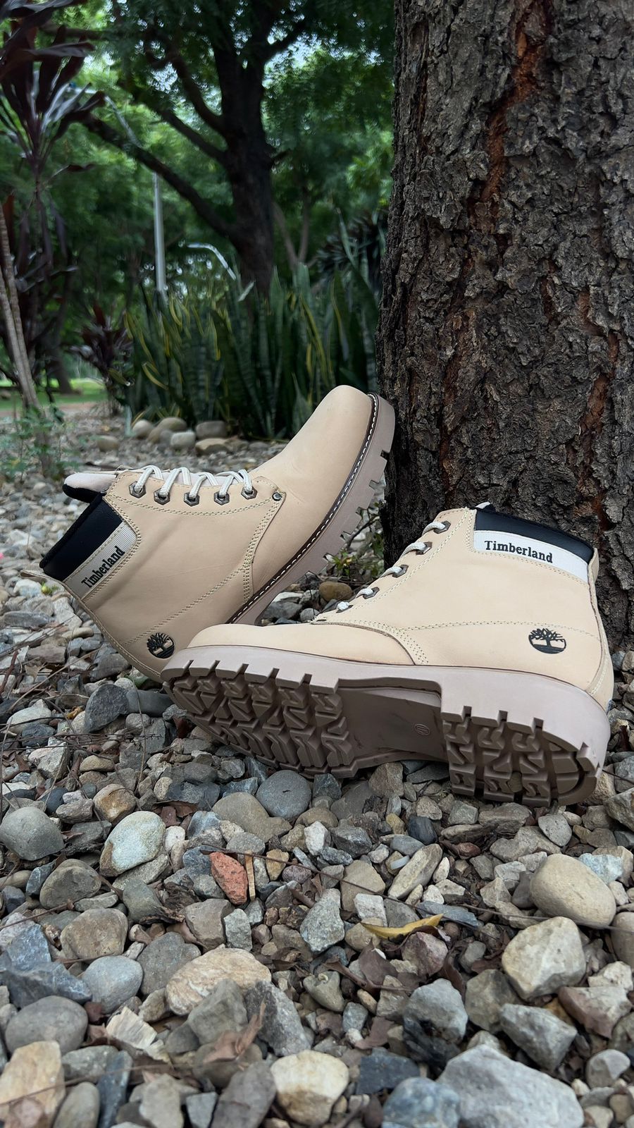 🌳BOTA TIMBERLAND🪾 CLASICA CUERO 🐂